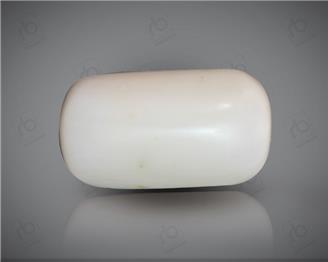 Natural White Coral ( Safed Mooga) Certified 12.62 CTS. ( 91522 )